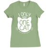 i only have one cat my cat has a few cat Ladies Fitted T-Shirt