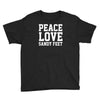 peace Love Youth Tee