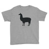 comosellama Youth Tee