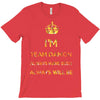 team damon salvatore T-Shirt