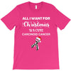 all i want for christmas is a cure carcinoid cancer T-Shirt