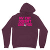 my cat doesn't like you Hoodie