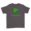 little leprechaun Youth Tee