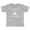 don quixote the man of la mancha 2 Toddler T-shirt