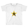 Hollywood Walk of Fame Baby Edition Toddler T-shirt