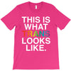 This Is What Trans Looks Like T-Shirt