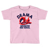 washington high school Toddler T-shirt