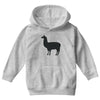 comosellama Youth Hoodie