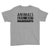 Animals Are Not Ingredients Youth Tee