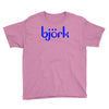bjork Youth Tee