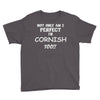 perfect cornish Youth Tee