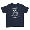 no drama llama Youth Tee