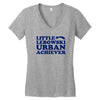 Little Lebowski Urban Achiever Women's V-Neck T-Shirt