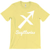 saggittarius zodiac T-Shirt