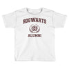 howards Toddler T-shirt