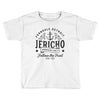 Ferndale Detroit Toddler T-shirt
