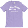 brazilian jiu jitsu funny T-Shirt