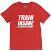 Train Insane Or Remain The Same V-Neck Tee
