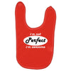 perfect Baby Bibs