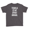 tequila is my spirit animal Youth Tee