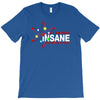 i am not insane inspired by the big bang theory, ideal birthday T-Shirt