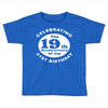 Funny 40th Birthday Toddler T-shirt