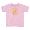two suns of fun Toddler T-shirt