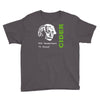 albert einstein theory of 7% proof geeky science cider scrumpy drinkin Youth Tee