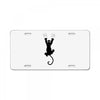 Grabing Cat License Plate