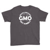 gmo test subject v2 anti gmo soy fruit vegetables Youth Tee