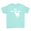 no prob llama funny llama Youth Tee