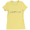 ask me about my complete lack of interest Ladies Fitted T-Shirt