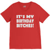 it's my birthday b...hes V-Neck Tee