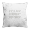 it's my birthday b...hes Throw Pillow