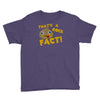 rock fact Youth Tee