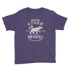 house stark winterfell Youth Tee