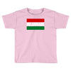 melaninaire Toddler T-shirt