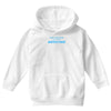 i don't get drunk Youth Hoodie