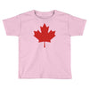 canada international baseball Toddler T-shirt