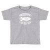 quantum physics not rocket Toddler T-shirt