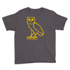 drake, ovoxo owl Youth Tee