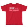 Feminist Noun Toddler T-shirt