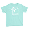 christmas periodic table of elements Youth Tee