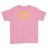 boston bruins logo Youth Tee