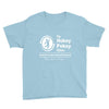 the hokey pokey clinic Youth Tee