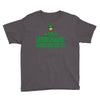 leprechauns made me do it Youth Tee