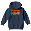 pumpkin pumpkin pumpkin Youth Hoodie