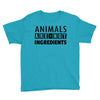 Animals Are Not Ingredients Youth Tee