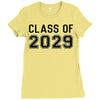 class of 2029 Ladies Fitted T-Shirt