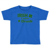 irish i were drunk Toddler T-shirt